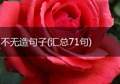 不无造句子(汇总71句)