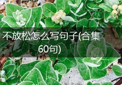 不放松怎么写句子(合集60句)