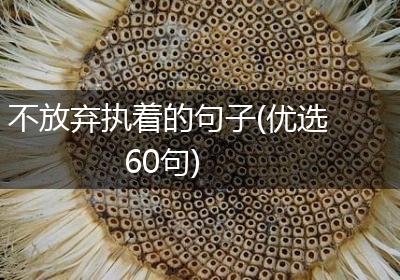 不放弃执着的句子(优选60句)