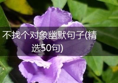 不找个对象幽默句子(精选50句)