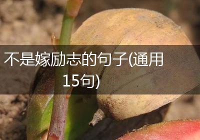 不是嫁励志的句子(通用15句)