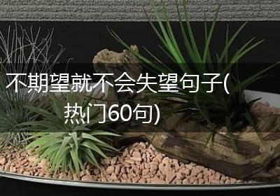 不期望就不会失望句子(热门60句)