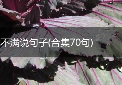 不满说句子(合集70句)