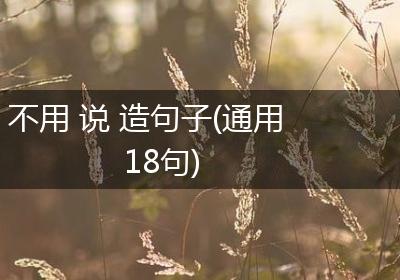 不用 说 造句子(通用18句)