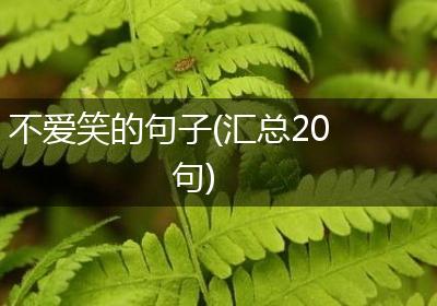 不爱笑的句子(汇总20句)