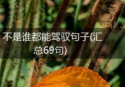 不是谁都能驾驭句子(汇总69句)