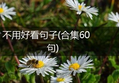 不用好看句子(合集60句)