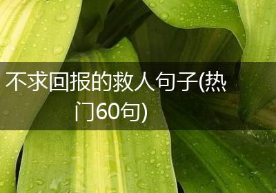 不求回报的救人句子(热门60句)