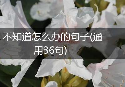 不知道怎么办的句子(通用36句)