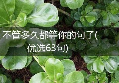 不管多久都等你的句子(优选63句)