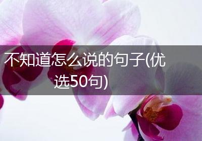 不知道怎么说的句子(优选50句)
