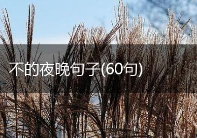 不的夜晚句子(60句)