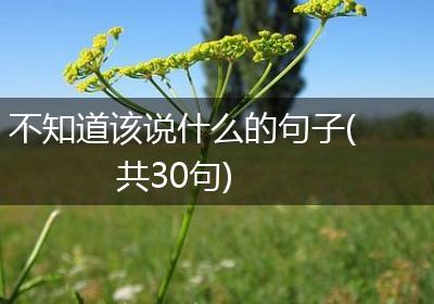 不知道该说什么的句子(共30句)