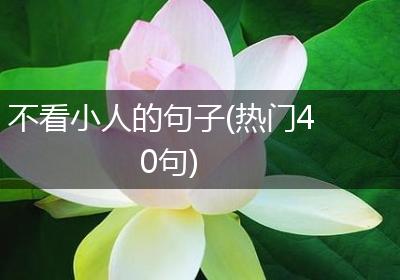 不看小人的句子(热门40句)