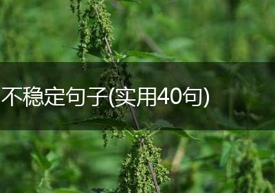不稳定句子(实用40句)