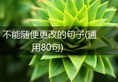 不能随便更改的句子(通用80句)