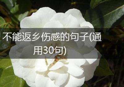不能返乡伤感的句子(通用30句)