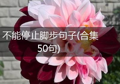 不能停止脚步句子(合集50句)