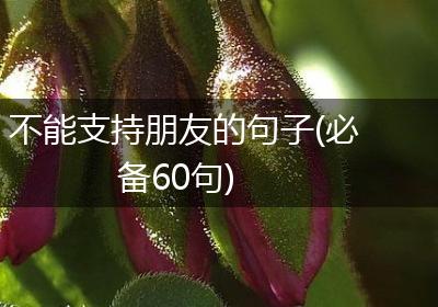 不能支持朋友的句子(必备60句)