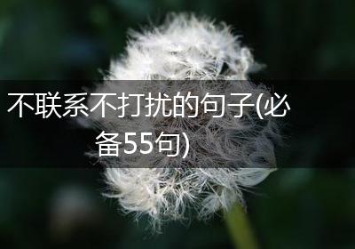 不联系不打扰的句子(必备55句)