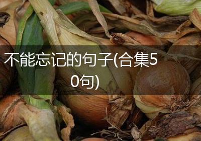 不能忘记的句子(合集50句)