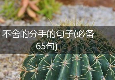 不舍的分手的句子(必备65句)