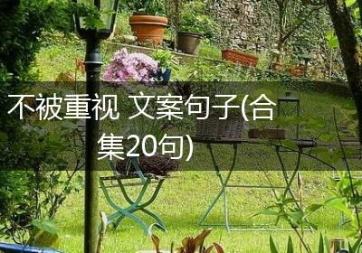 不被重视 文案句子(合集20句)