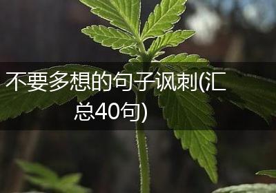 不要多想的句子讽刺(汇总40句)