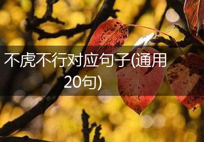 不虎不行对应句子(通用20句)