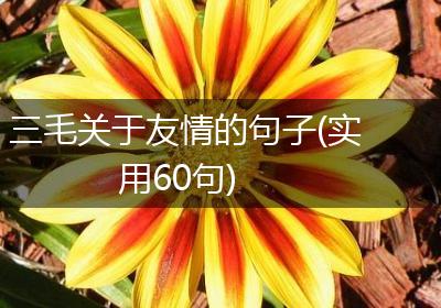 三毛关于友情的句子(实用60句)