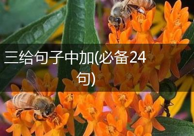 三给句子中加(必备24句)