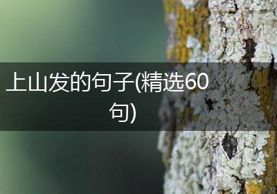 上山发的句子(精选60句)