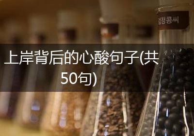 上岸背后的心酸句子(共50句)