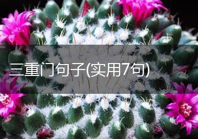 三重门句子(实用7句)