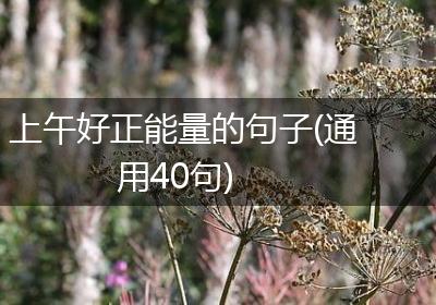 上午好正能量的句子(通用40句)