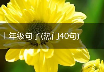上年级句子(热门40句)