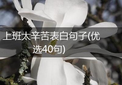 上班太辛苦表白句子(优选40句)