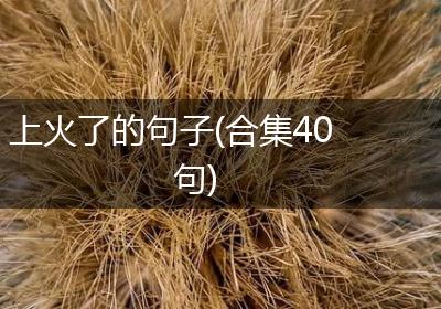上火了的句子(合集40句)