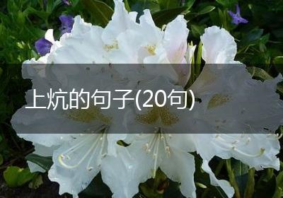 上炕的句子(20句)