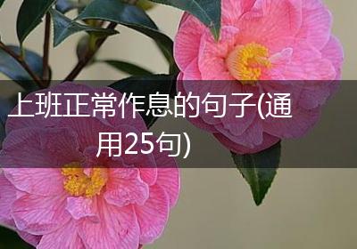 上班正常作息的句子(通用25句)