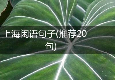 上海闲语句子(推荐20句)