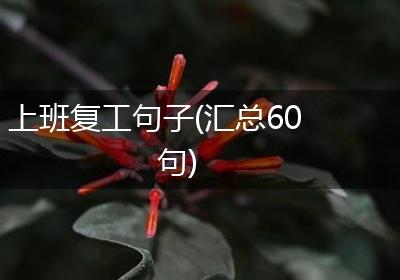 上班复工句子(汇总60句)