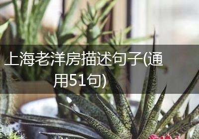 上海老洋房描述句子(通用51句)