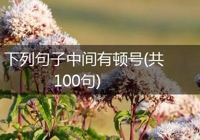 下列句子中间有顿号(共100句)