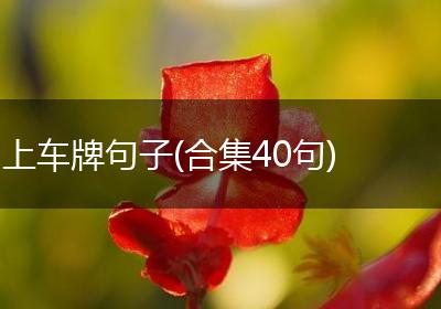 上车牌句子(合集40句)