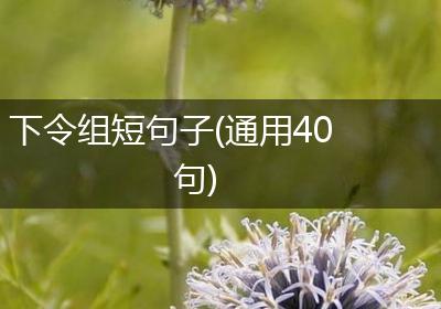 下令组短句子(通用40句)