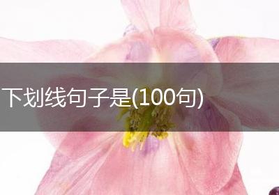 下划线句子是(100句)