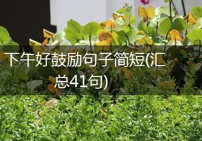 下午好鼓励句子简短(汇总41句)