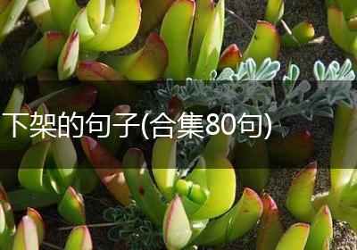 下架的句子(合集80句)