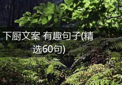 下厨文案 有趣句子(精选60句)